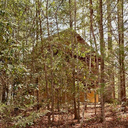 Mountain Hideaway #338 Villa Gatlinburg Ngoại thất bức ảnh